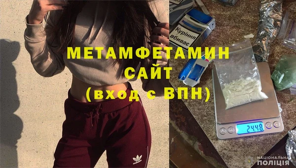 сатива Инта