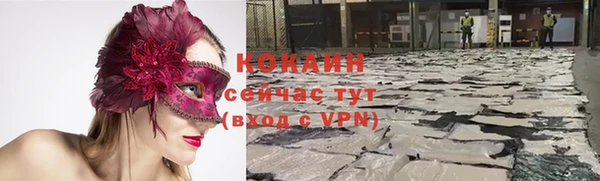 ПСИЛОЦИБИНОВЫЕ ГРИБЫ Каменногорск