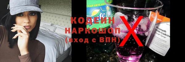 сатива Инта