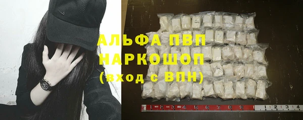 эйфоретик Инсар