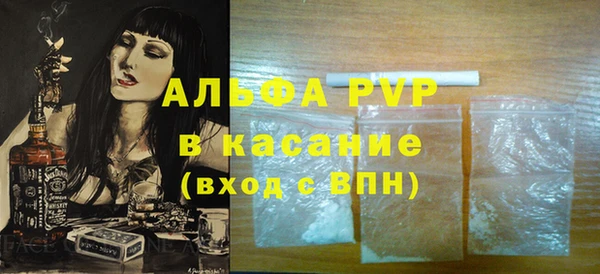 сатива Инта