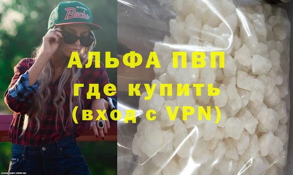 сатива Инта