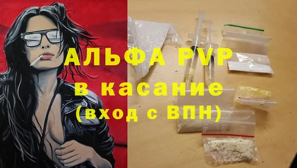сатива Инта