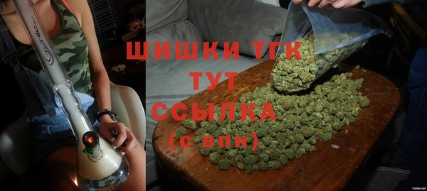 эйфоретик Инсар