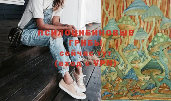 сатива Инта