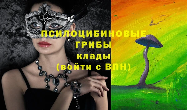 эйфоретик Инсар