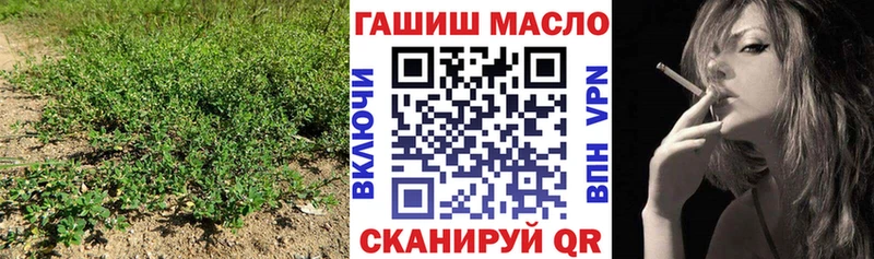 Купить закладки  Берёзовский  Дистиллят ТГК концентрат 